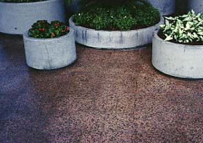 Flamed granite exterior floor restoration using Ver Glow #1 and #2. After image of flamed granite restoration